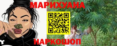 гидропоника Гусь-Хрустальный