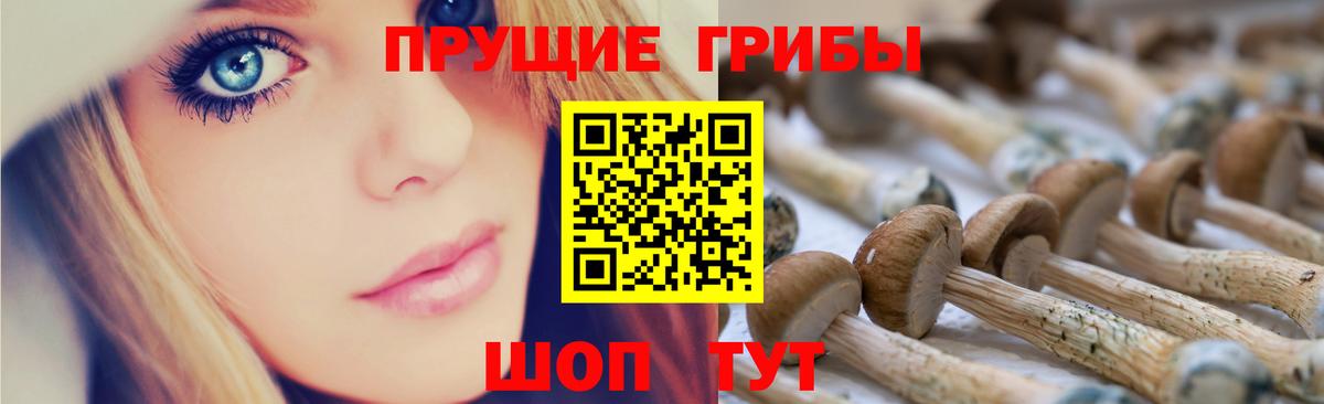 Галлюциногенные грибы Psilocybine cubensis Можайск